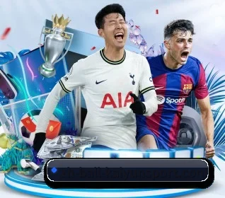 开云体育 APP 界面(KAIYUN SPORTS)